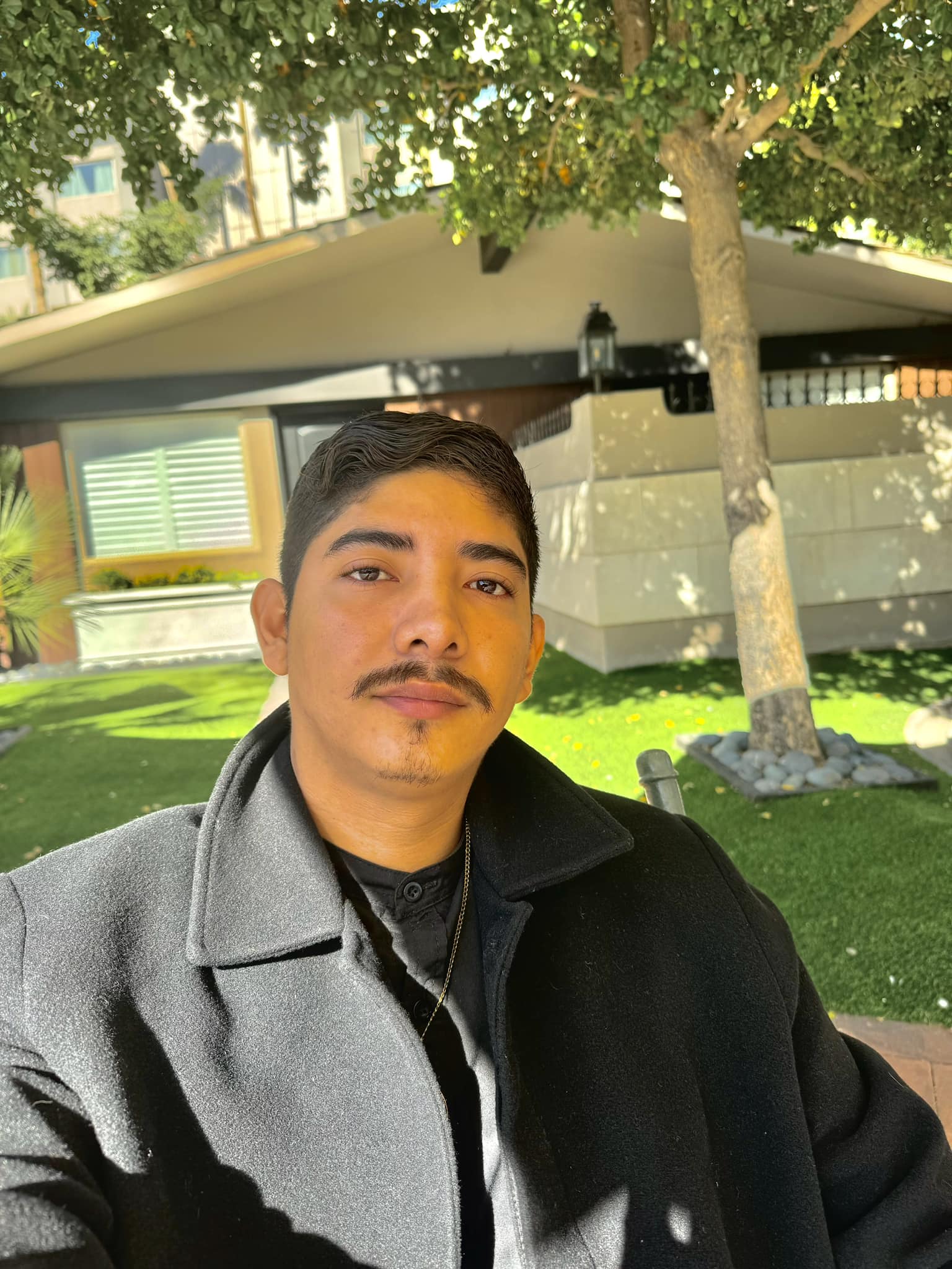 Unicornio fondo verde